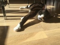 20180330 121621299 iOS