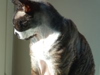 DSC00648
