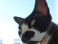 DSC00660
