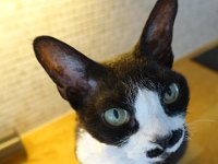 DSC00661