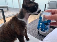 20190801 141055988 iOS